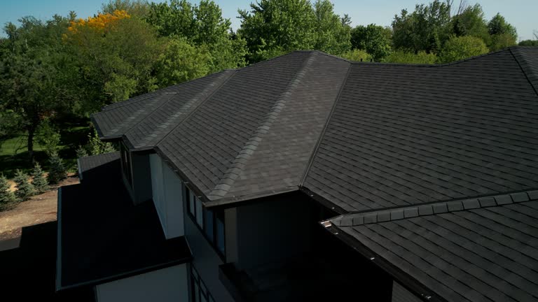 Best Chimney Flashing Repair  in Mount Zion, IL
