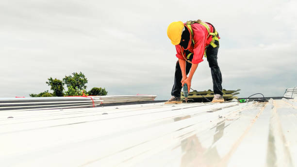 Best Sheet Metal Roofing  in Mount Zion, IL