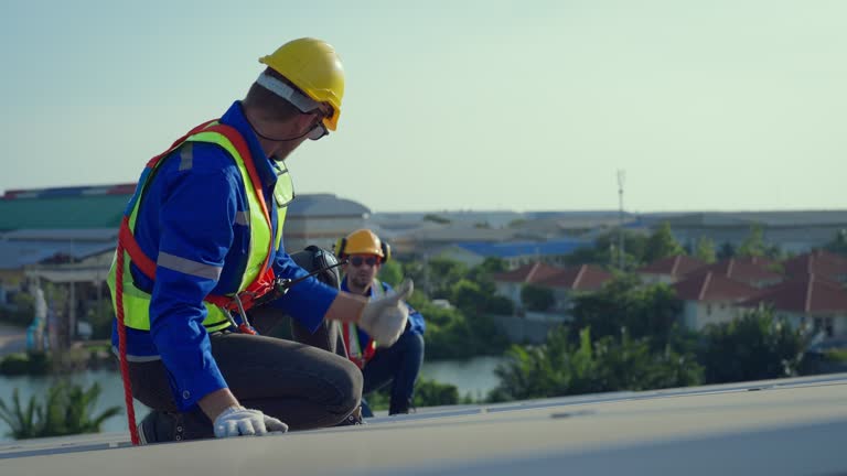 Best Roof Moss and Algae Removal  in Mount Zion, IL